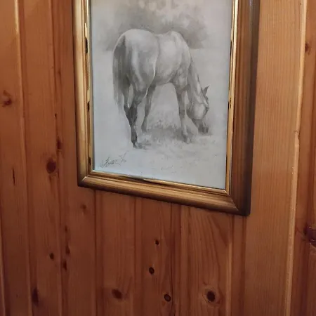 Lodge Sadyba Chertizh