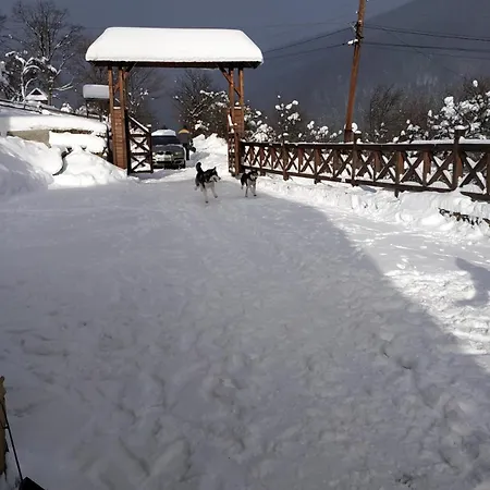 Sadyba Chertizh Lodge *