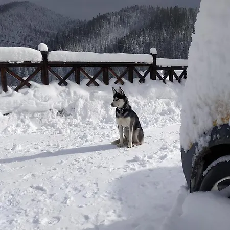 Eco Chertizh Lodge *