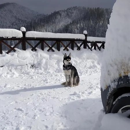Lodge Eco Chertizh *