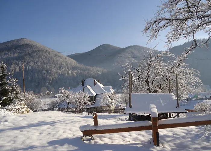 Eco Chertizh Lodge