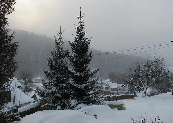 Eco Chertizh