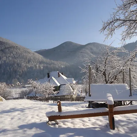 Eco Chertizh Lodge
